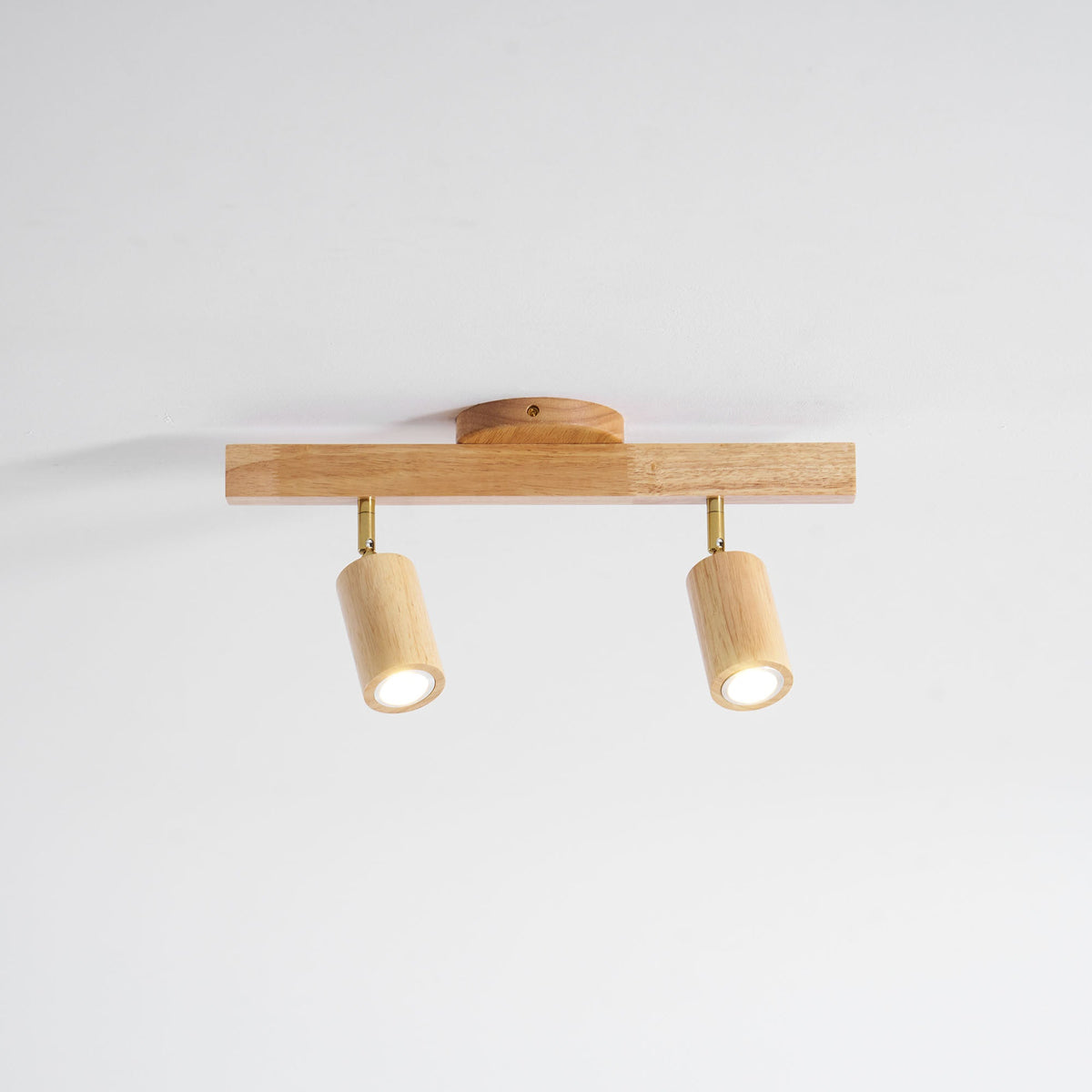 Branch Rail Ceiling Light