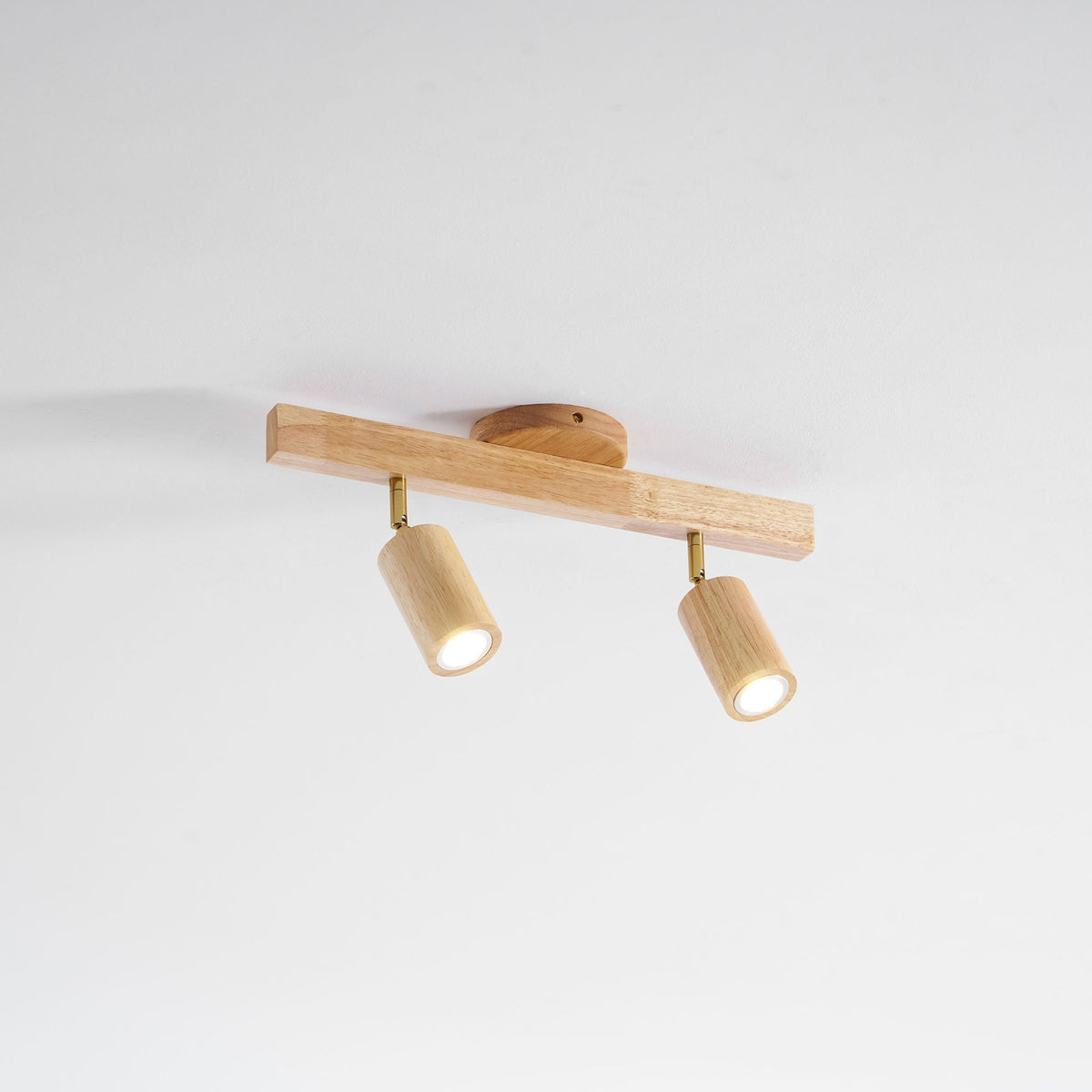 Branch Rail Ceiling Light