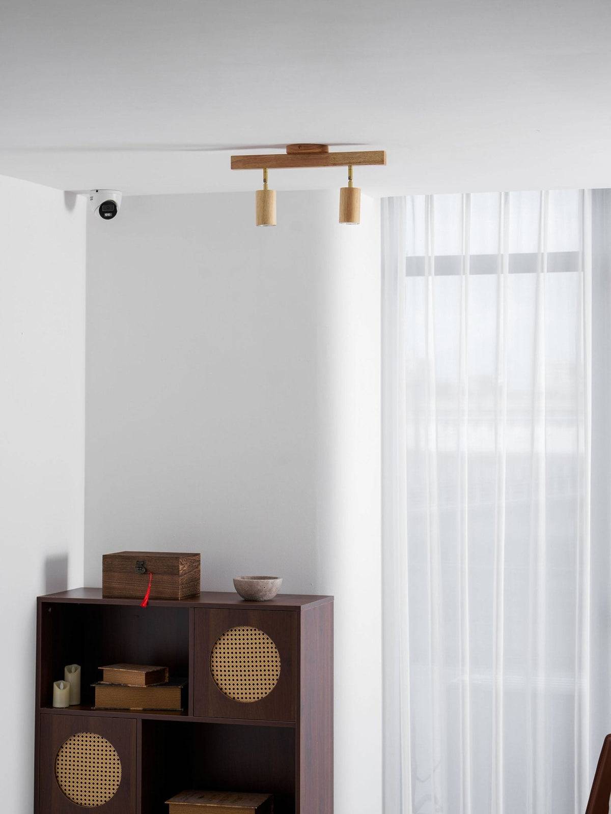 Branch Rail Ceiling Light