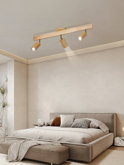 Branch Rail Ceiling Light