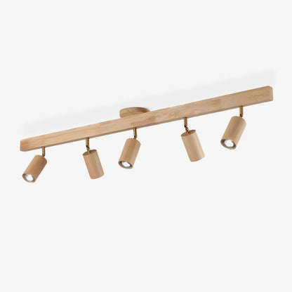 Branch Rail Ceiling Light