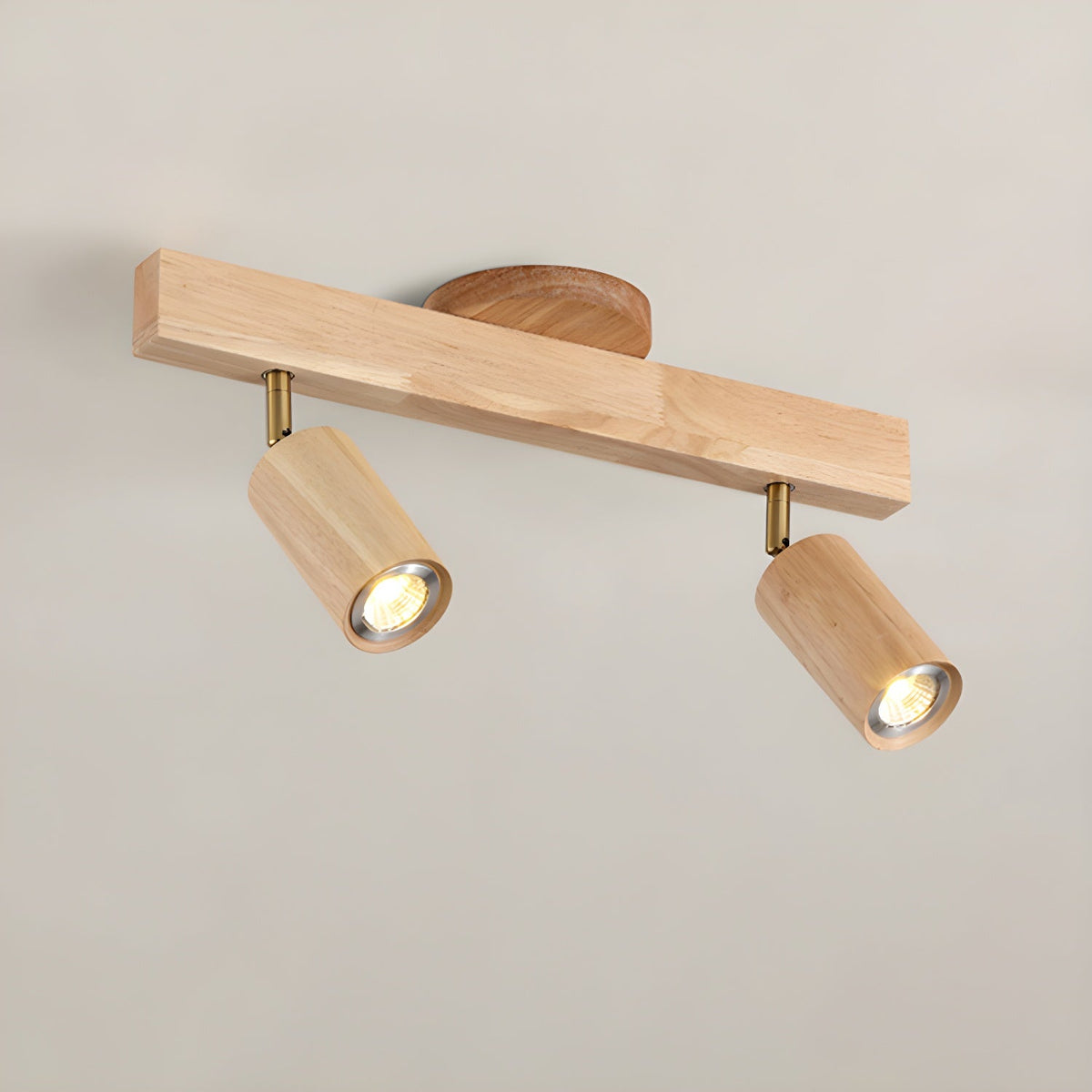 Branch Rail Ceiling Light