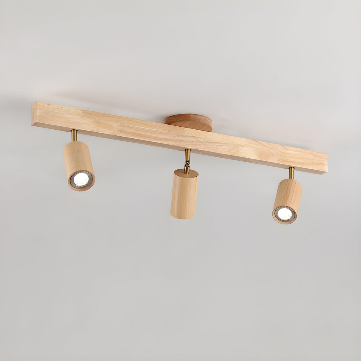 Branch Rail Ceiling Light