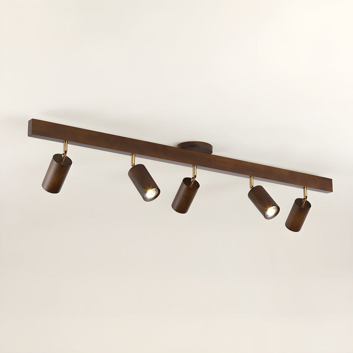 Branch Rail Ceiling Light