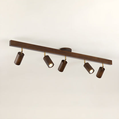 Branch Rail Ceiling Light
