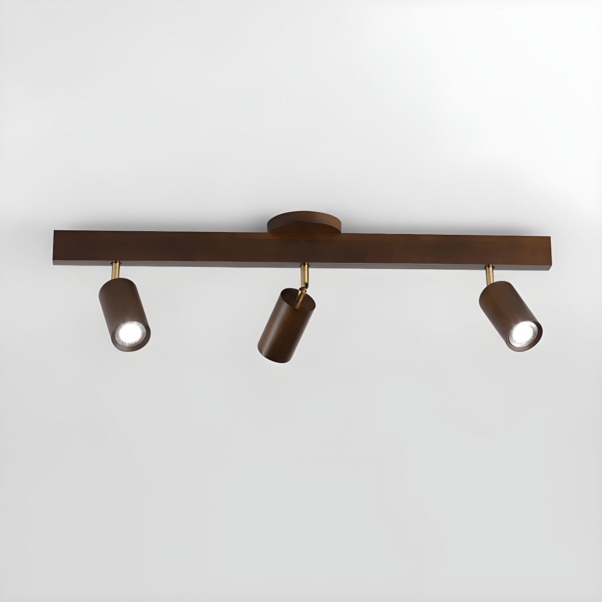 Branch Rail Ceiling Light