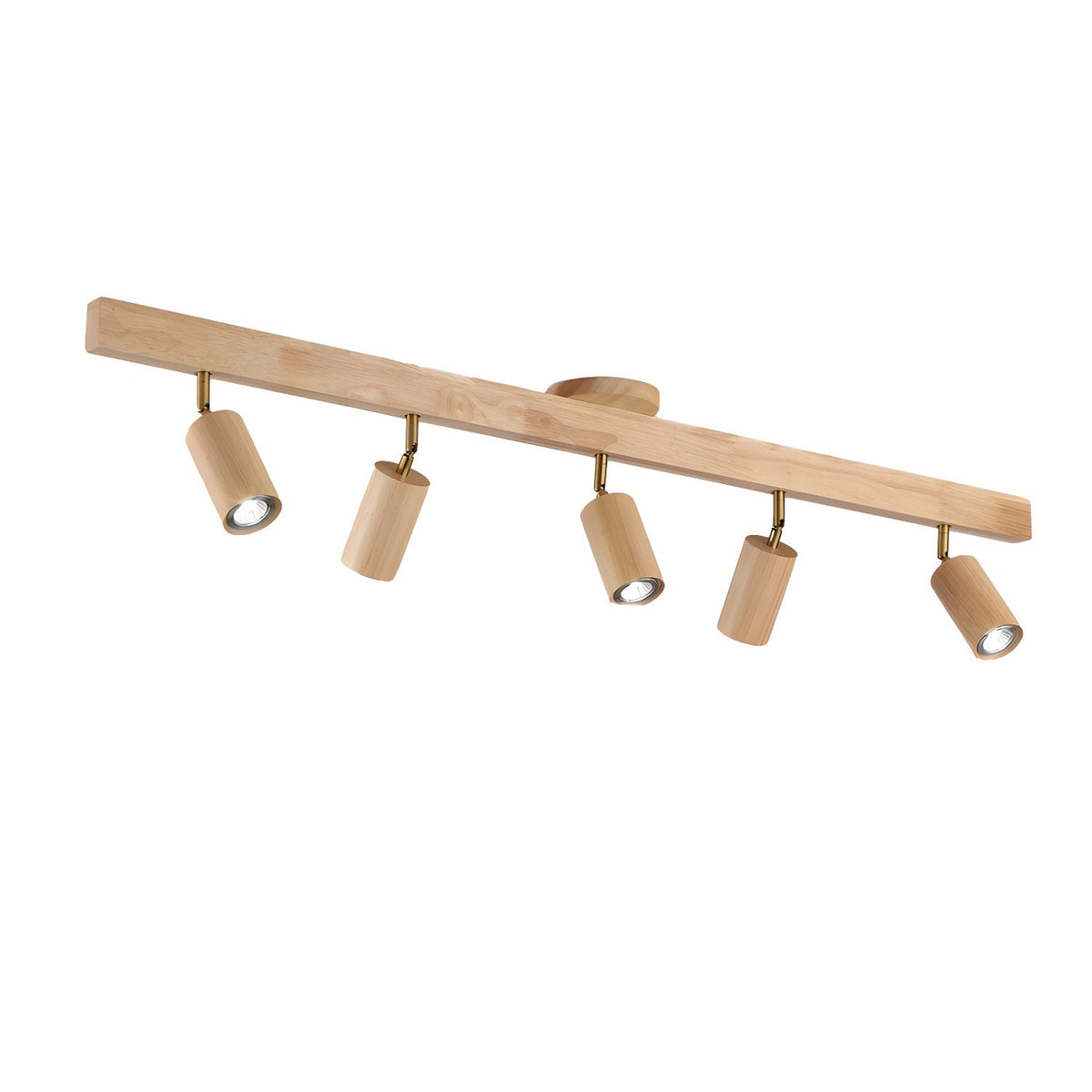 Branch Rail Ceiling Light