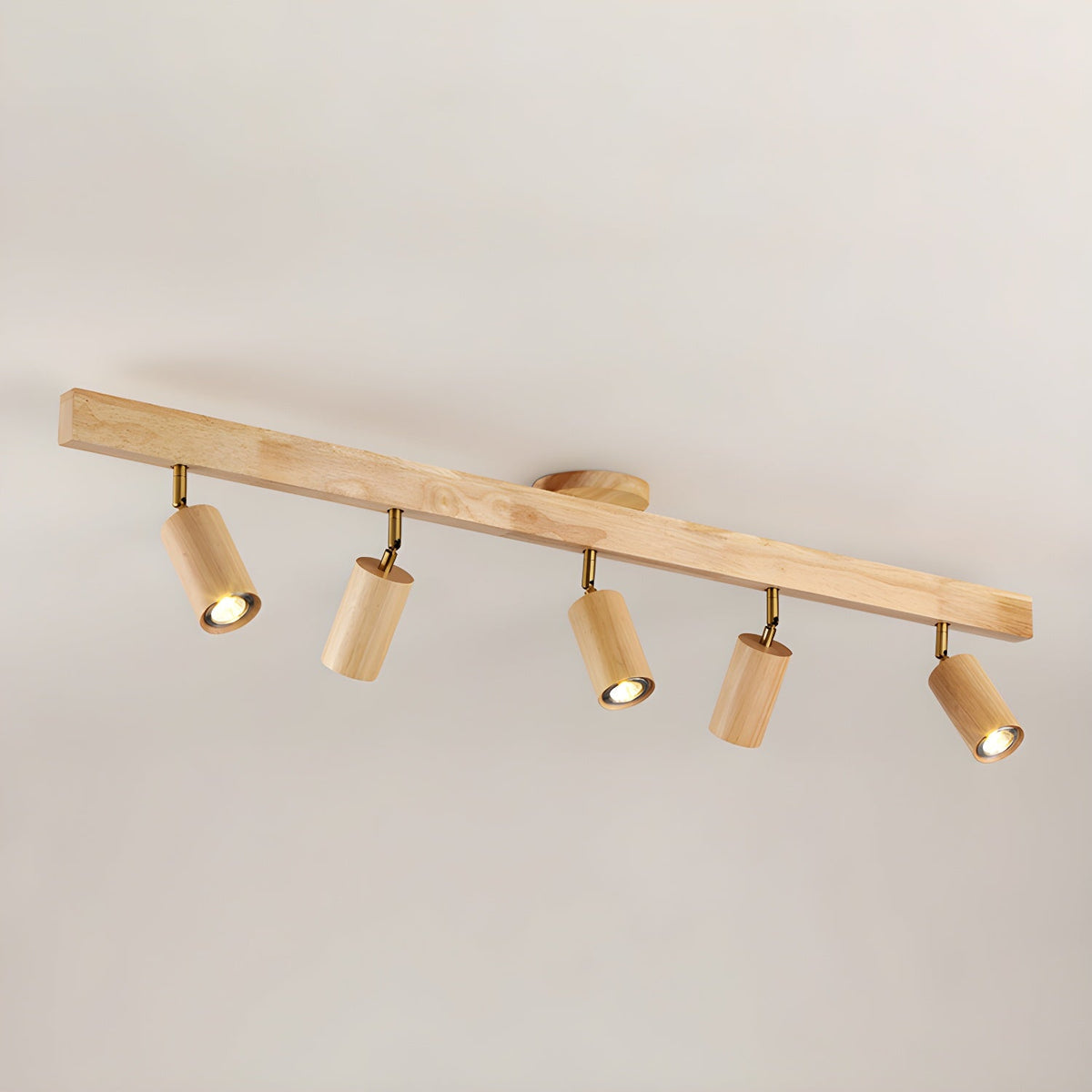 Branch Rail Ceiling Light