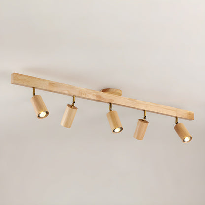 Branch Rail Ceiling Light