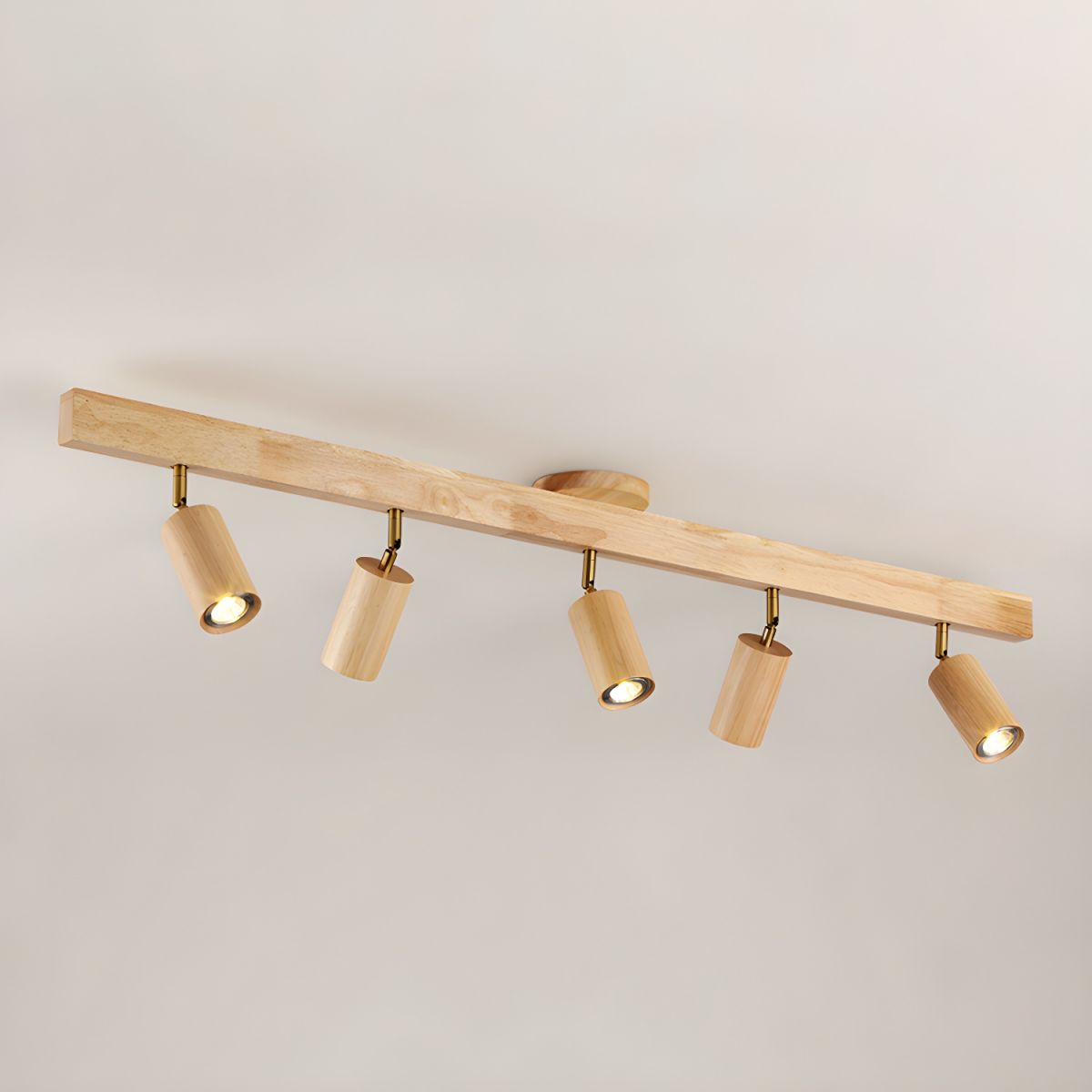 Branch Rail Ceiling Light