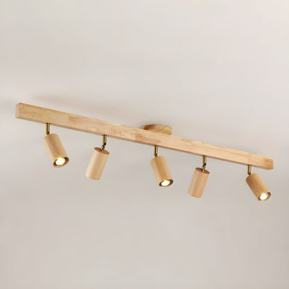 Branch Rail Ceiling Light