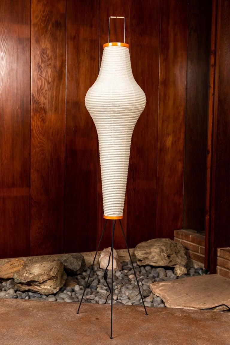 Loft Lantern Floor Lamp