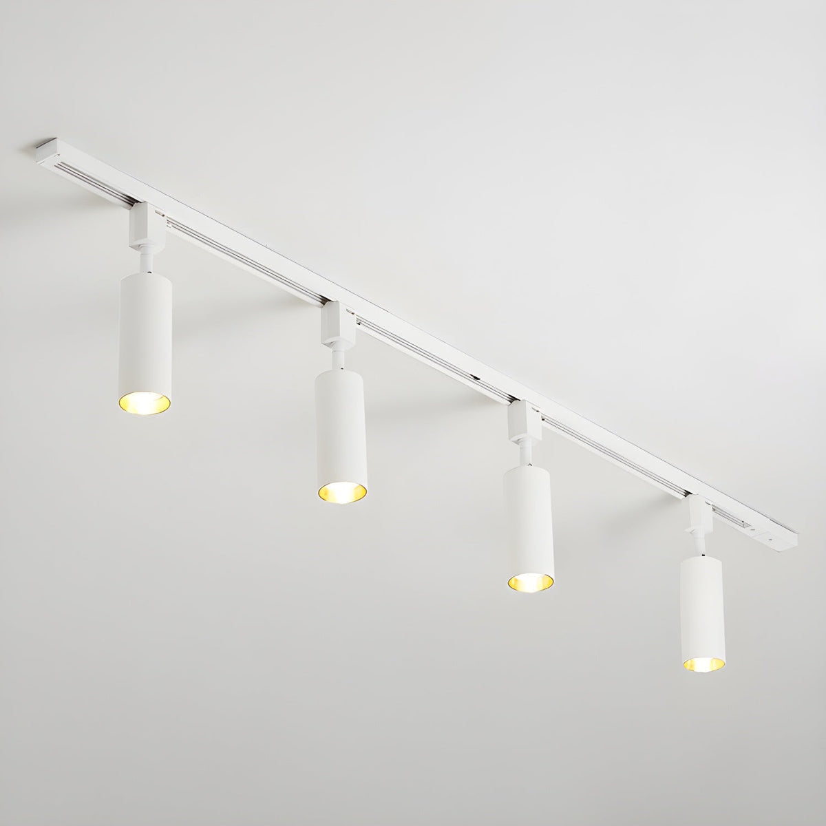 Fine Track Light