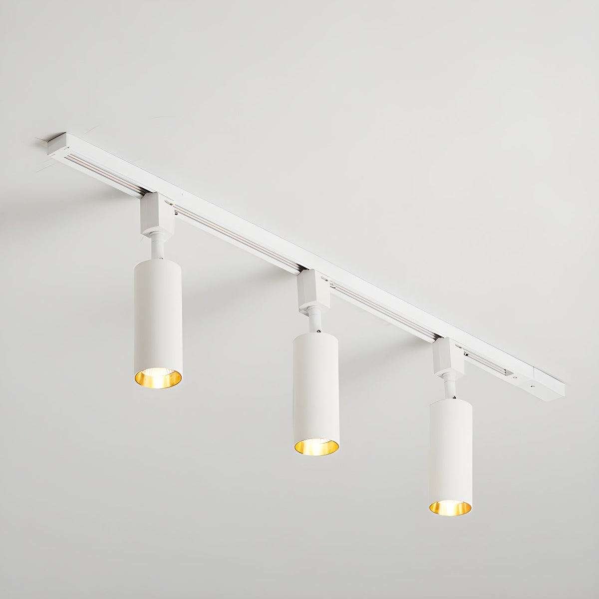 Fine Track Light