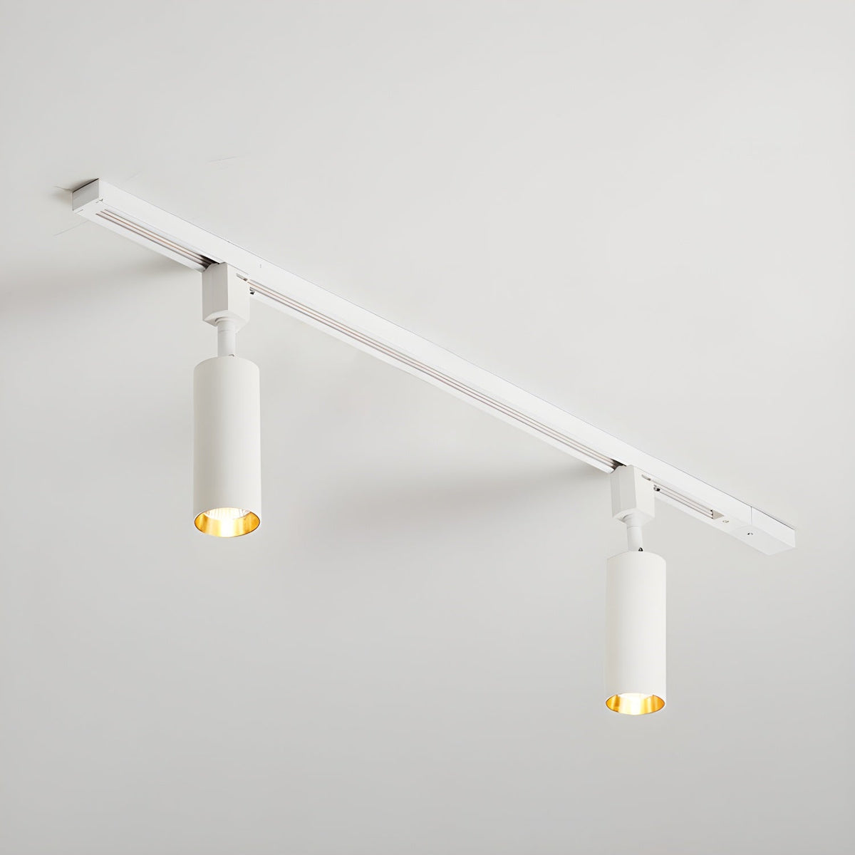 Fine Track Light