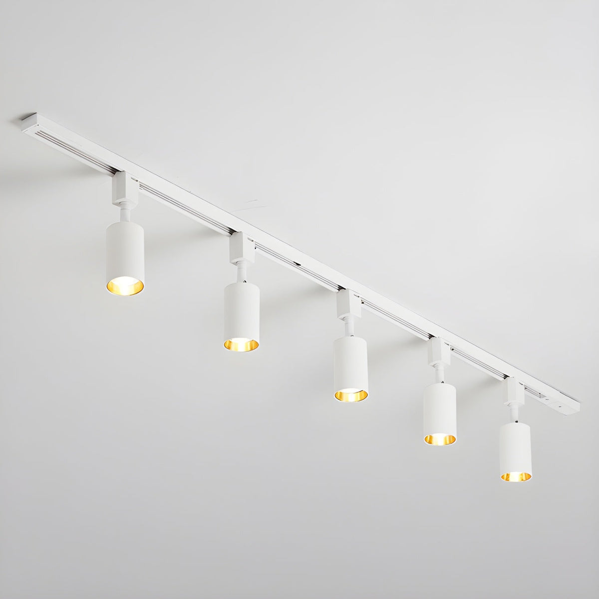 Fine Track Light