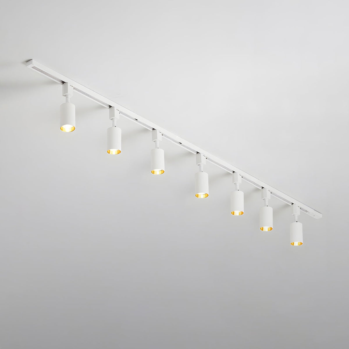 Fine Track Light