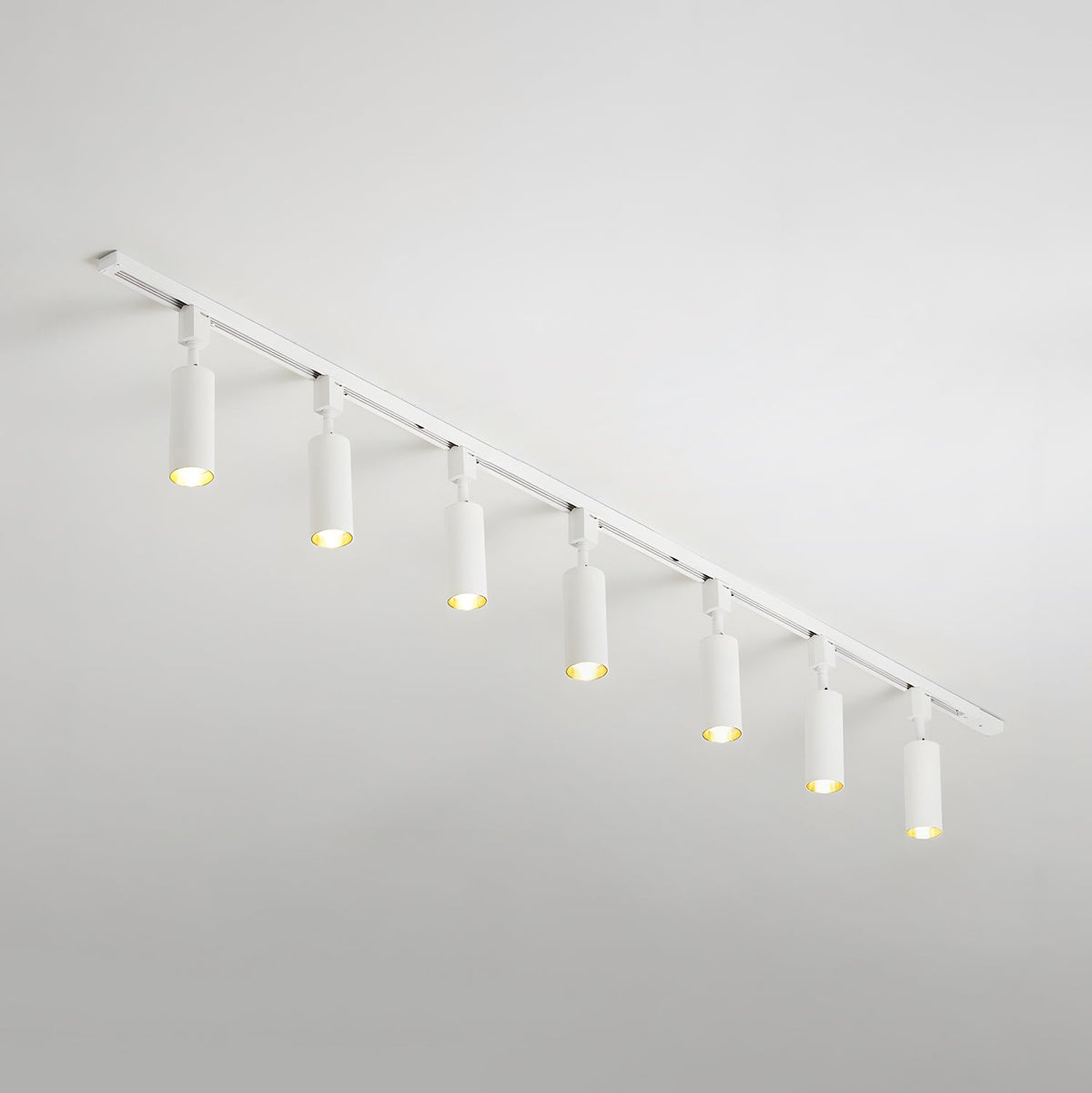 Fine Track Light