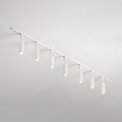 Fine Track Light