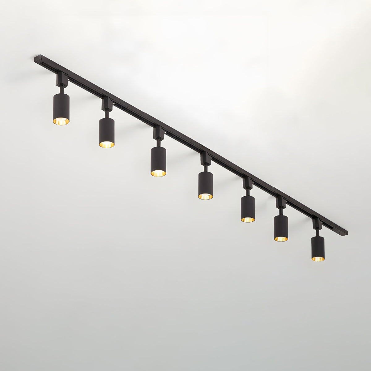 Fine Track Light