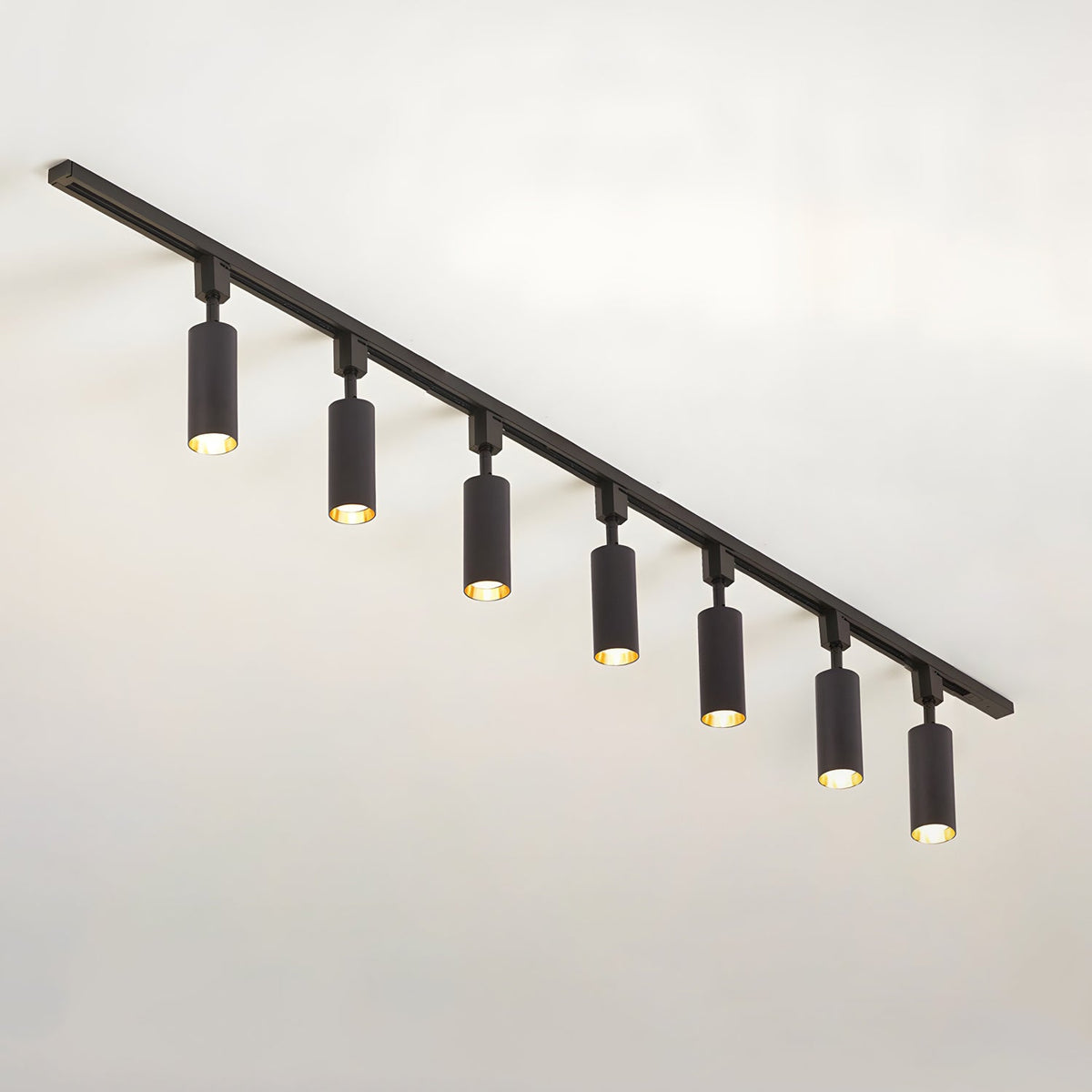 Fine Track Light
