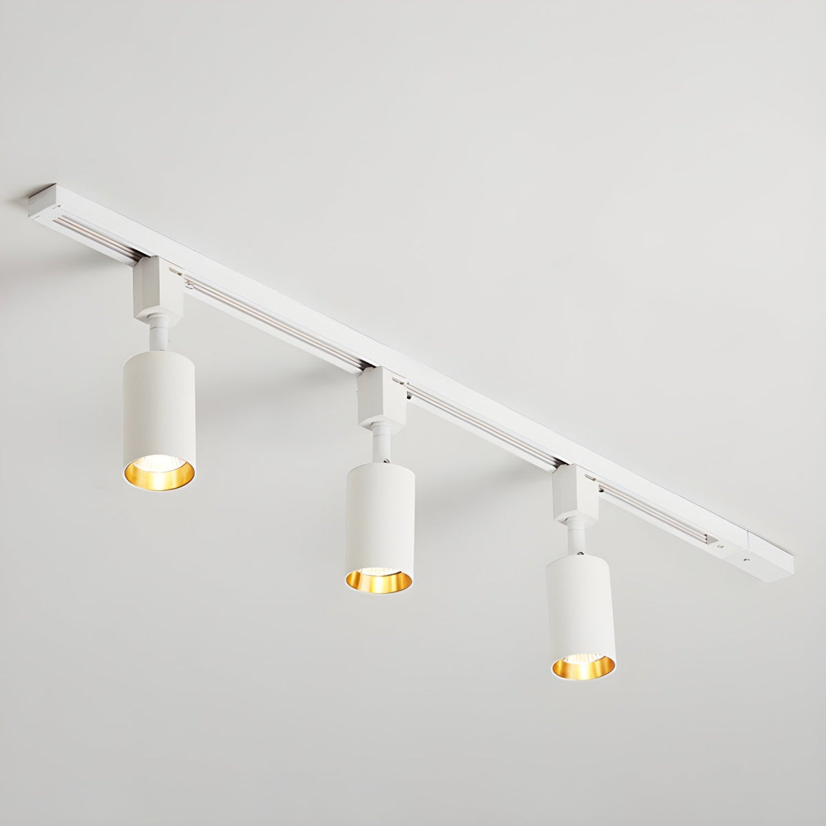 Fine Track Light