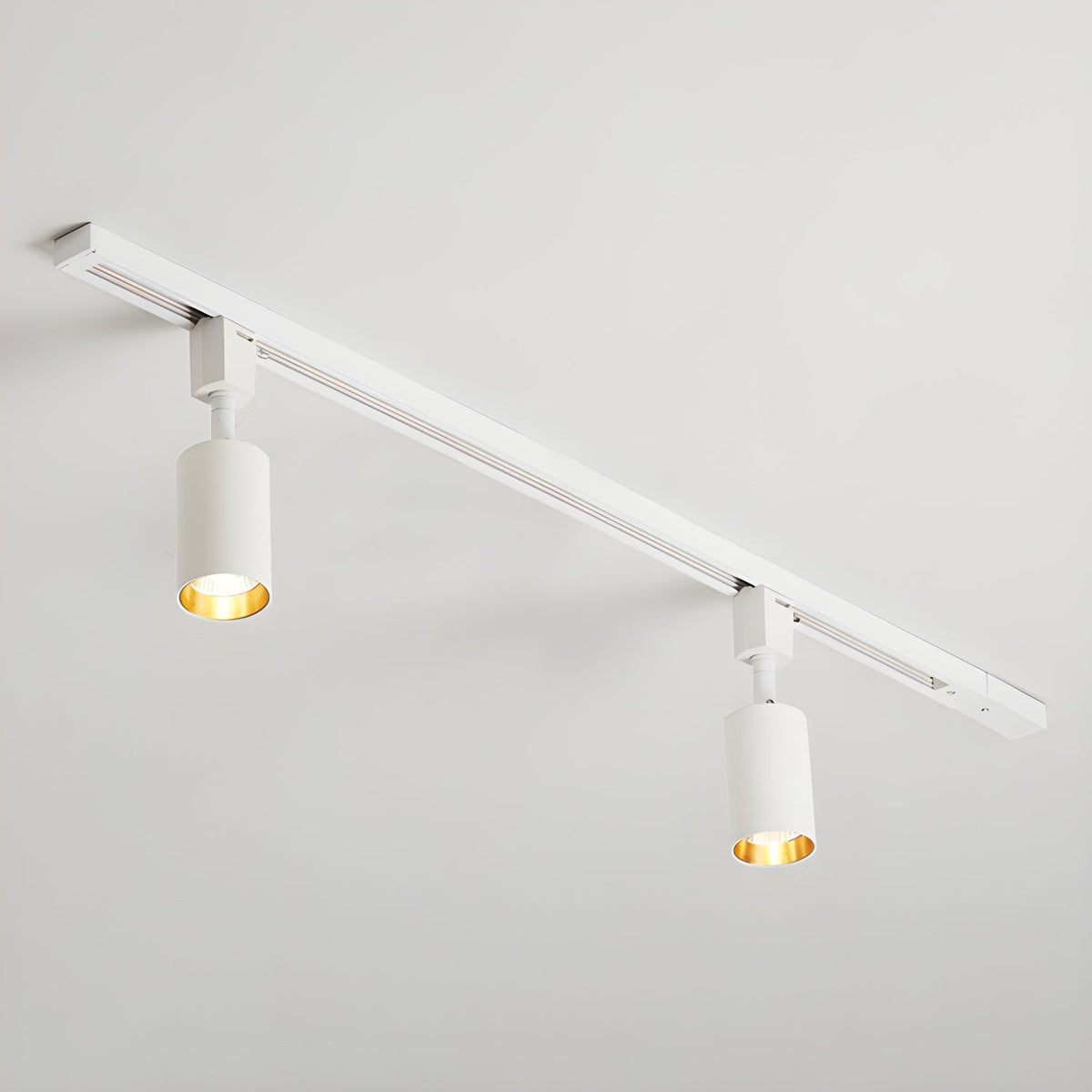 Fine Track Light