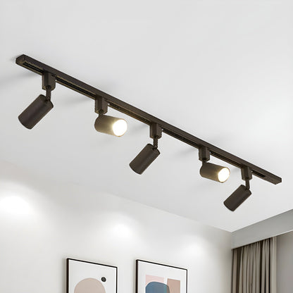 Fine Track Light