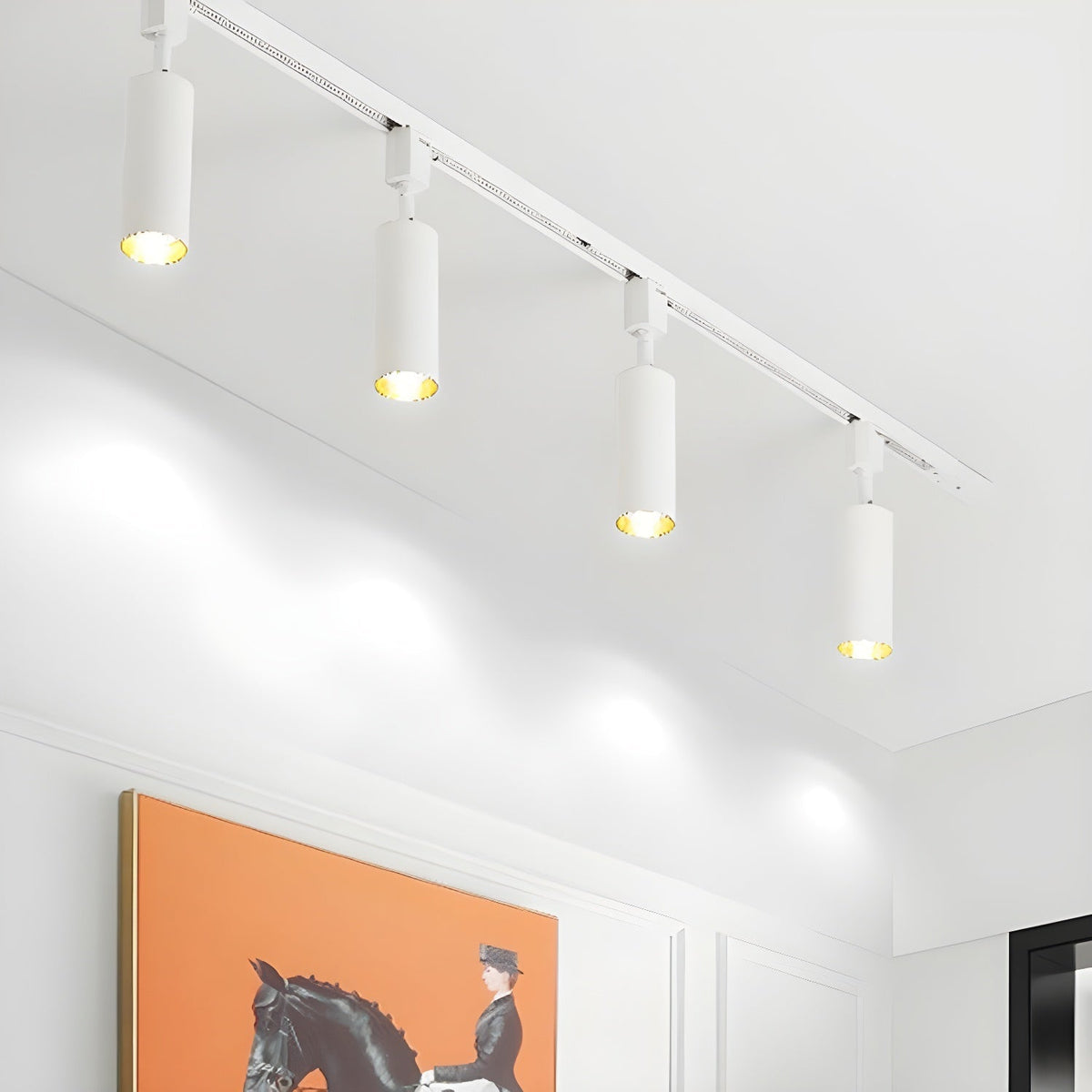 Fine Track Light