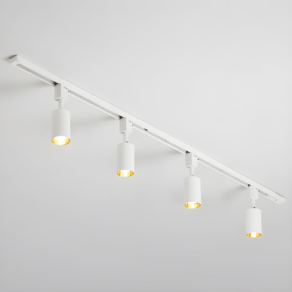 Fine Track Light