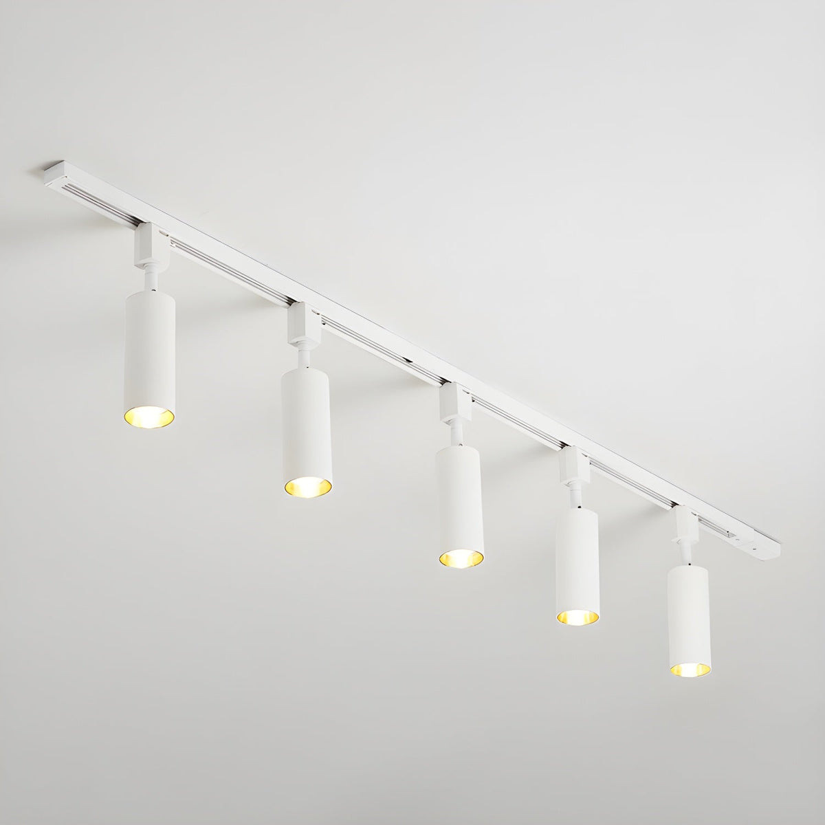 Fine Track Light