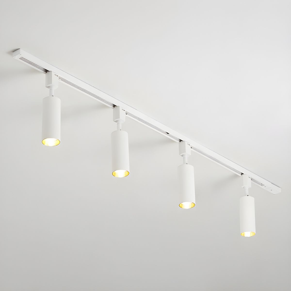 Fine Track Light