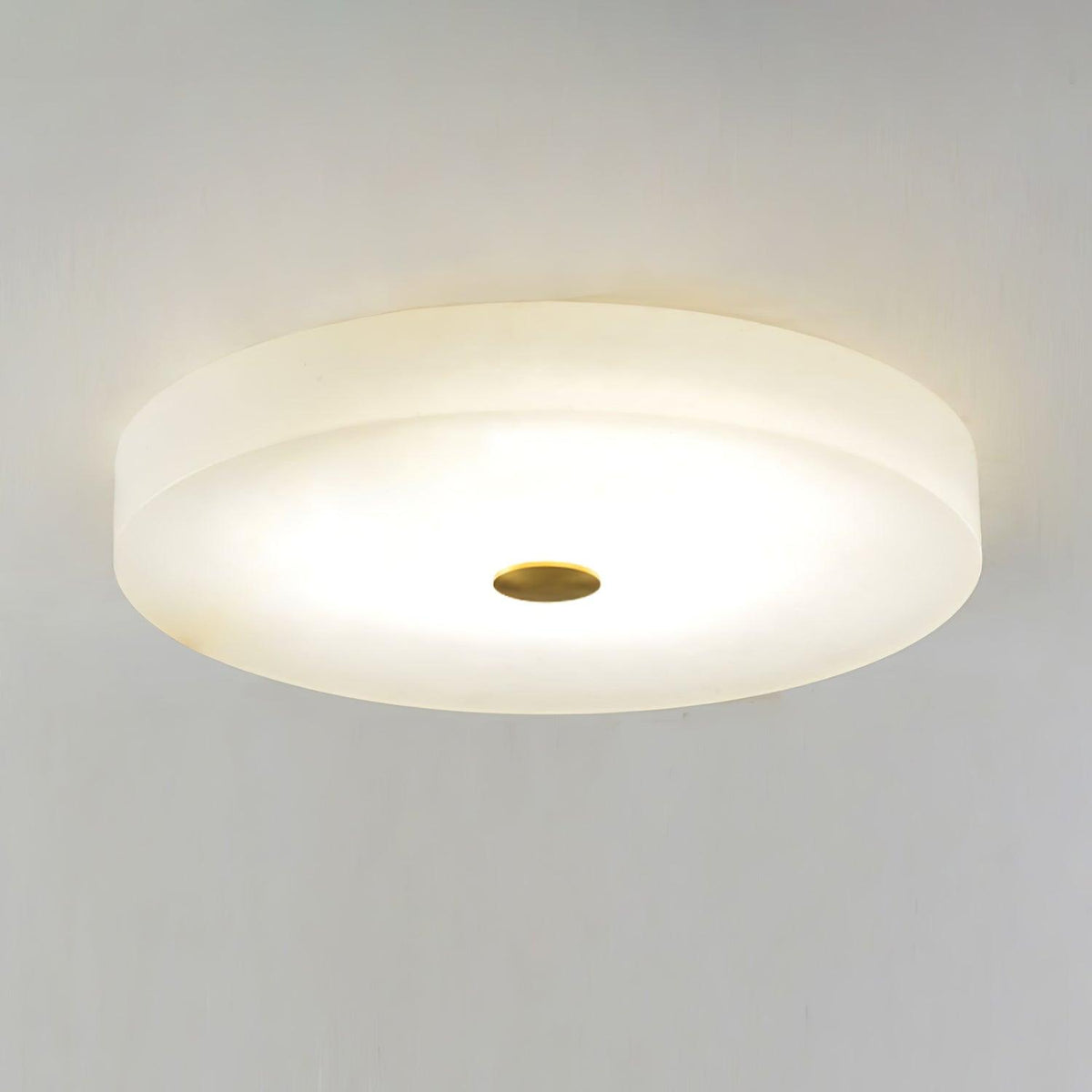 Still Disc Ceiling Light