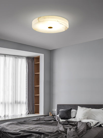 Still Disc Ceiling Light