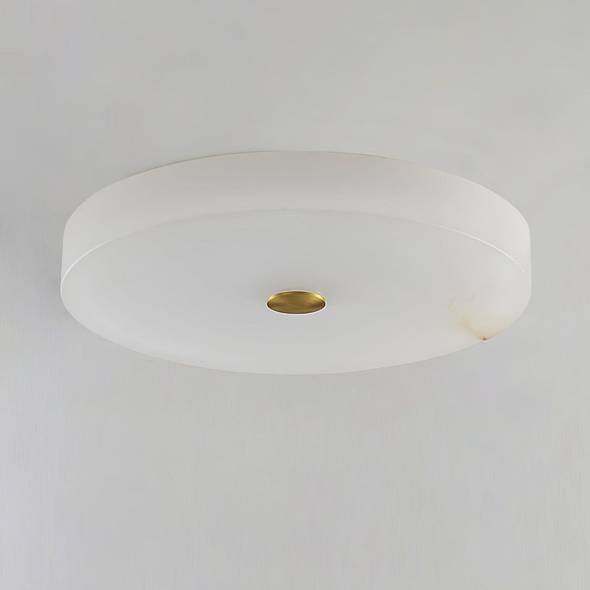 Still Disc Ceiling Light