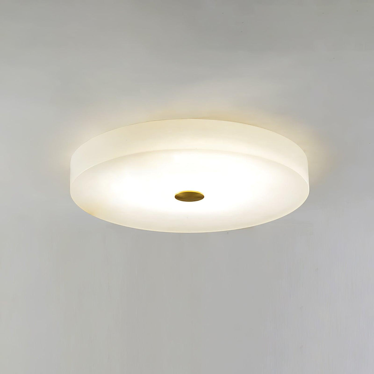 Still Disc Ceiling Light
