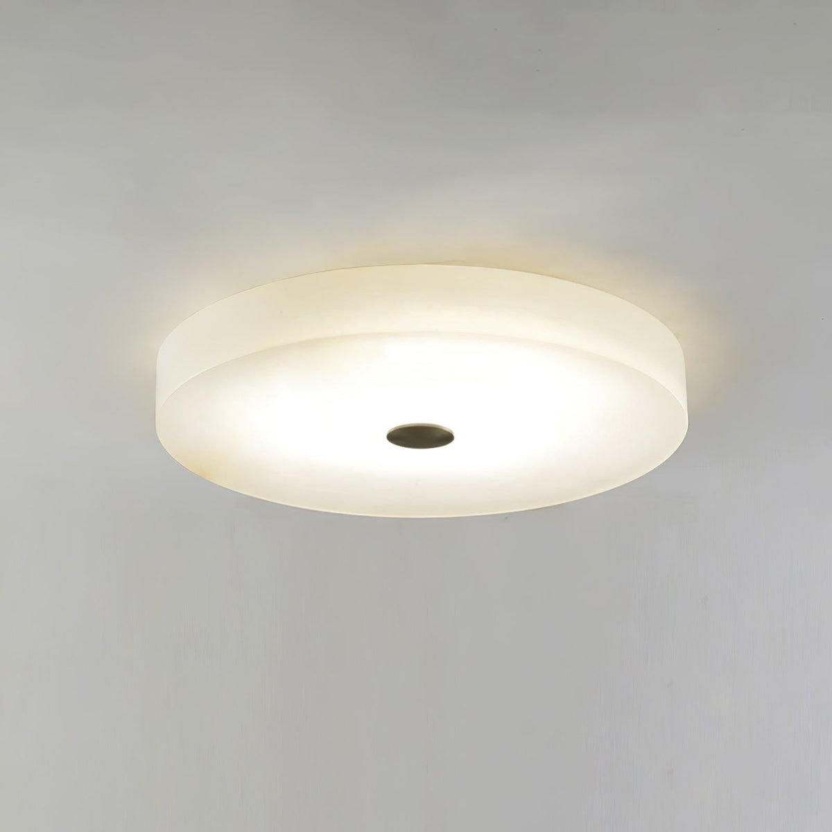 Still Disc Ceiling Light