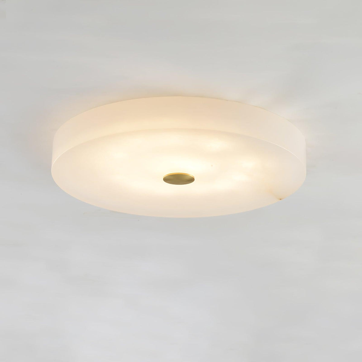 Still Disc Ceiling Light