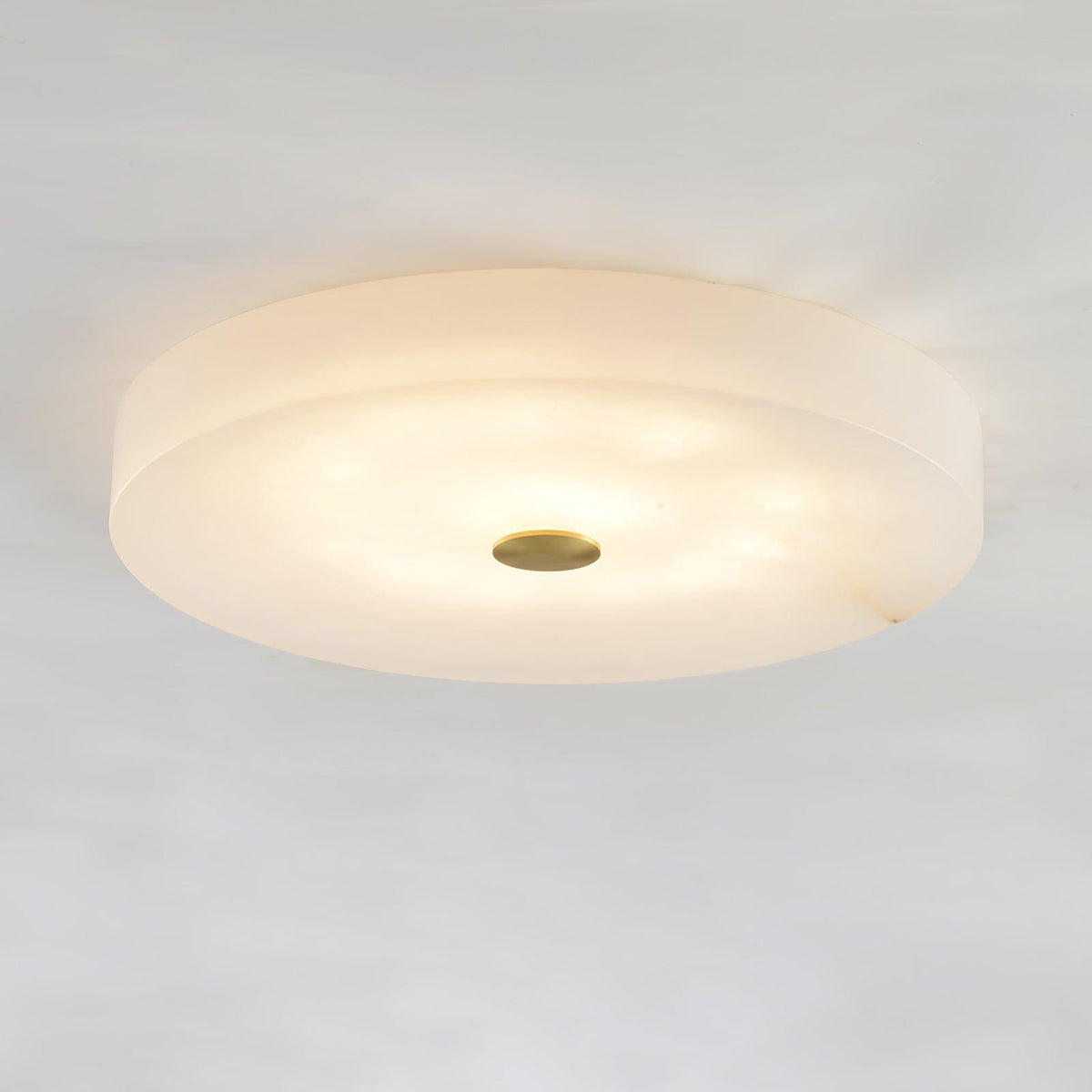 Still Disc Ceiling Light