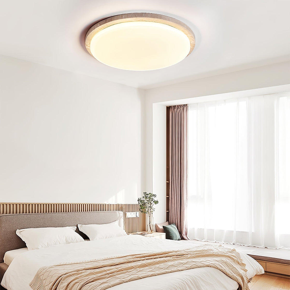 Softline Disc Ceiling Light
