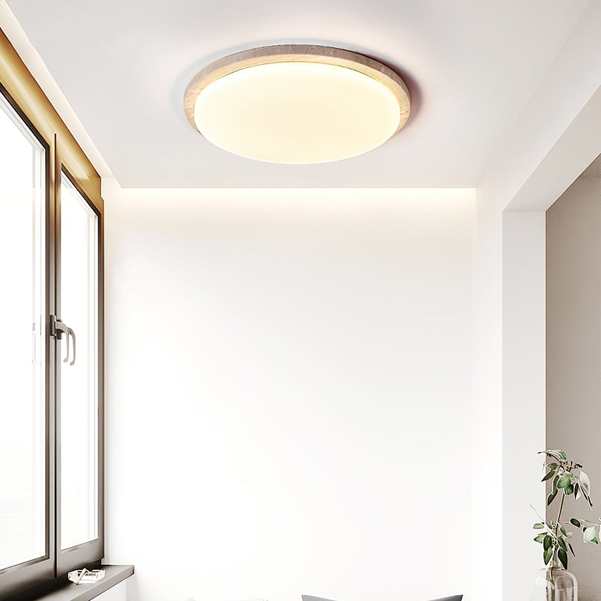 Softline Disc Ceiling Light