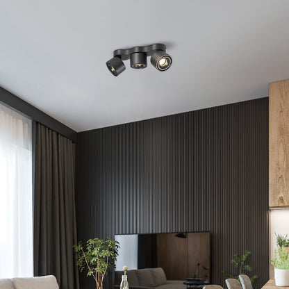 Pivot Trio Ceiling Light