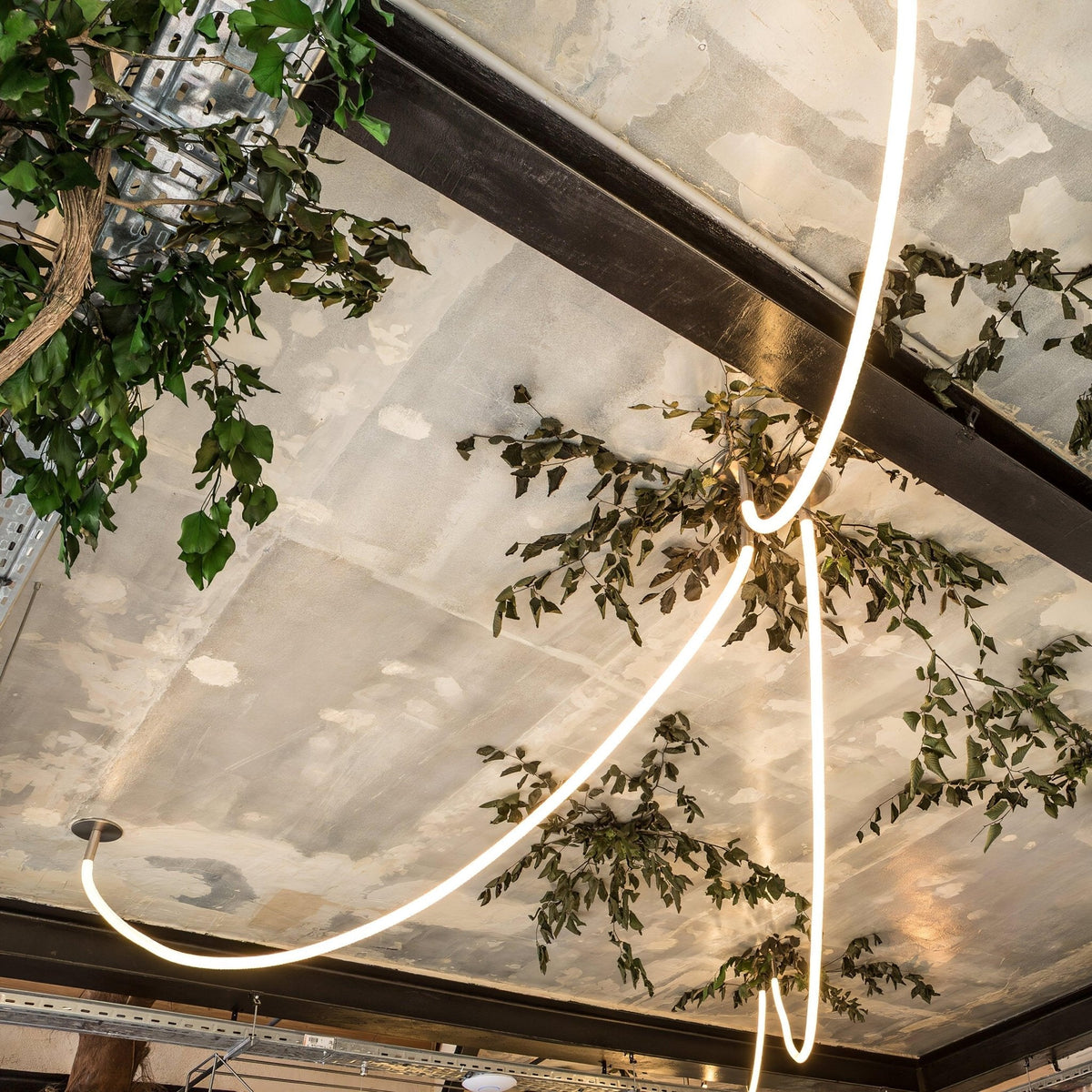 Softline Loop Pendant Light