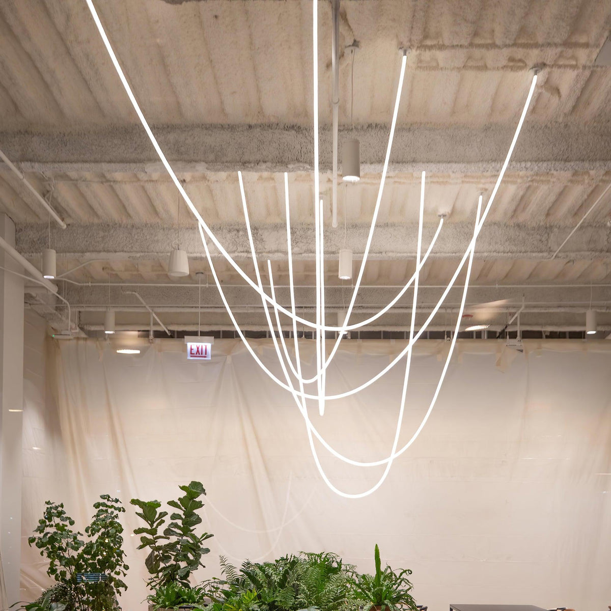 Softline Loop Pendant Light