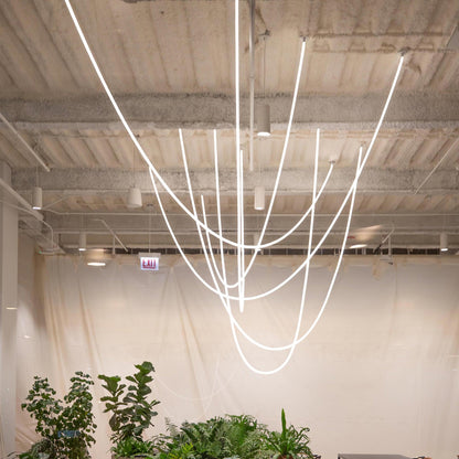 Softline Loop Pendant Light