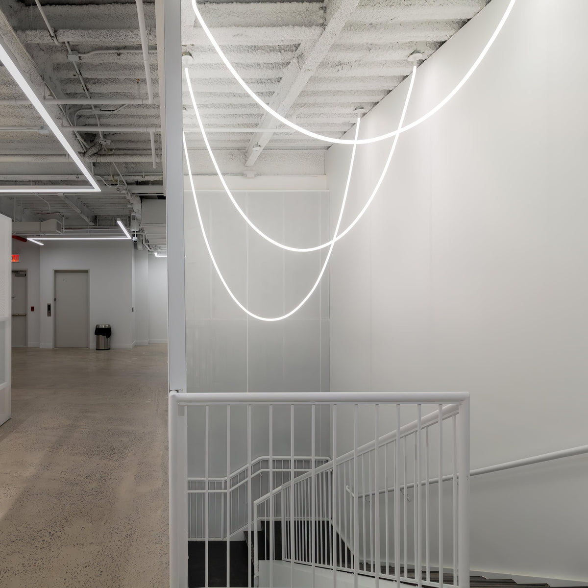 Softline Loop Pendant Light