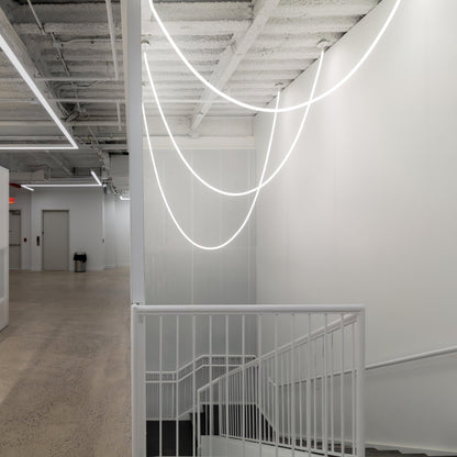 Softline Loop Pendant Light
