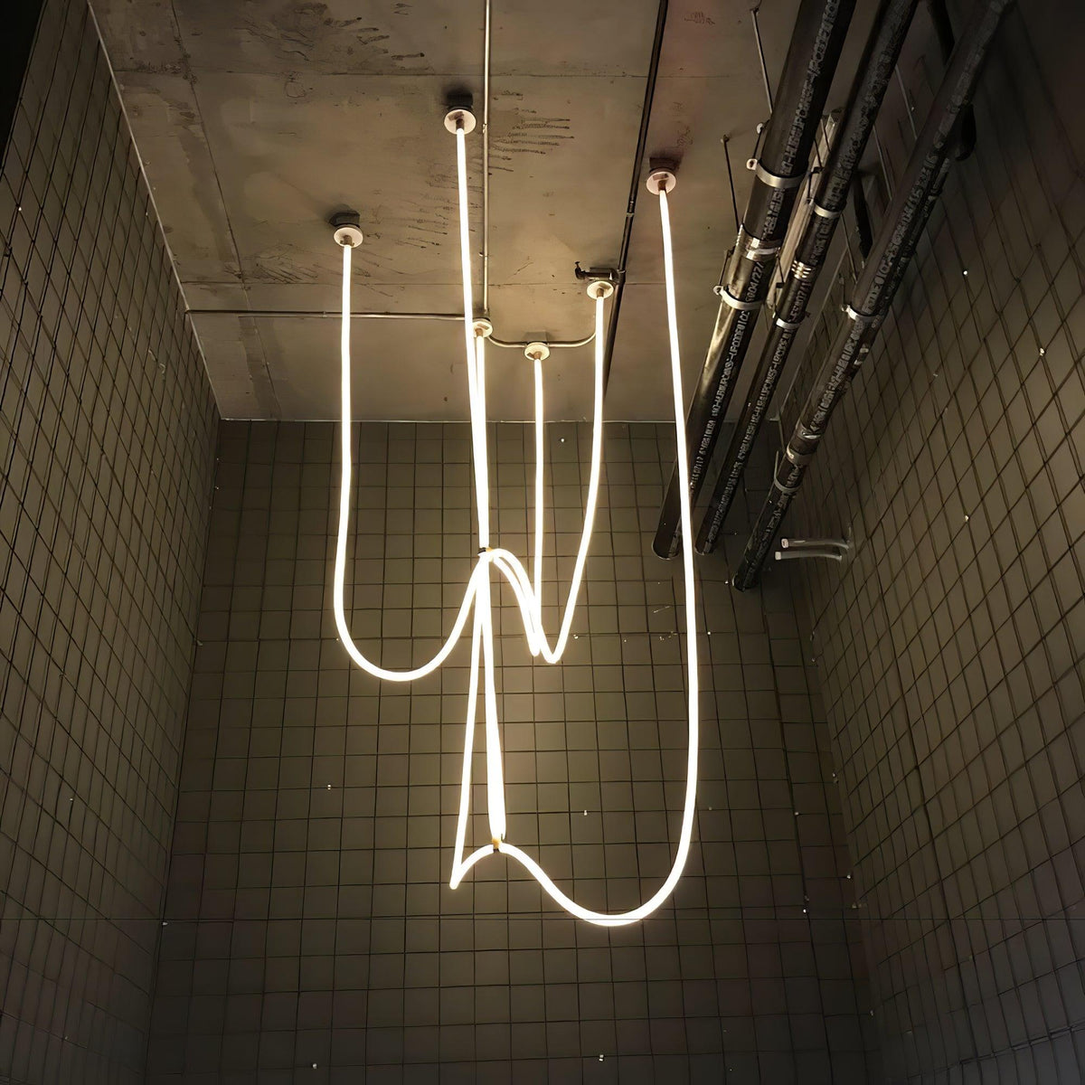 Softline Loop Pendant Light