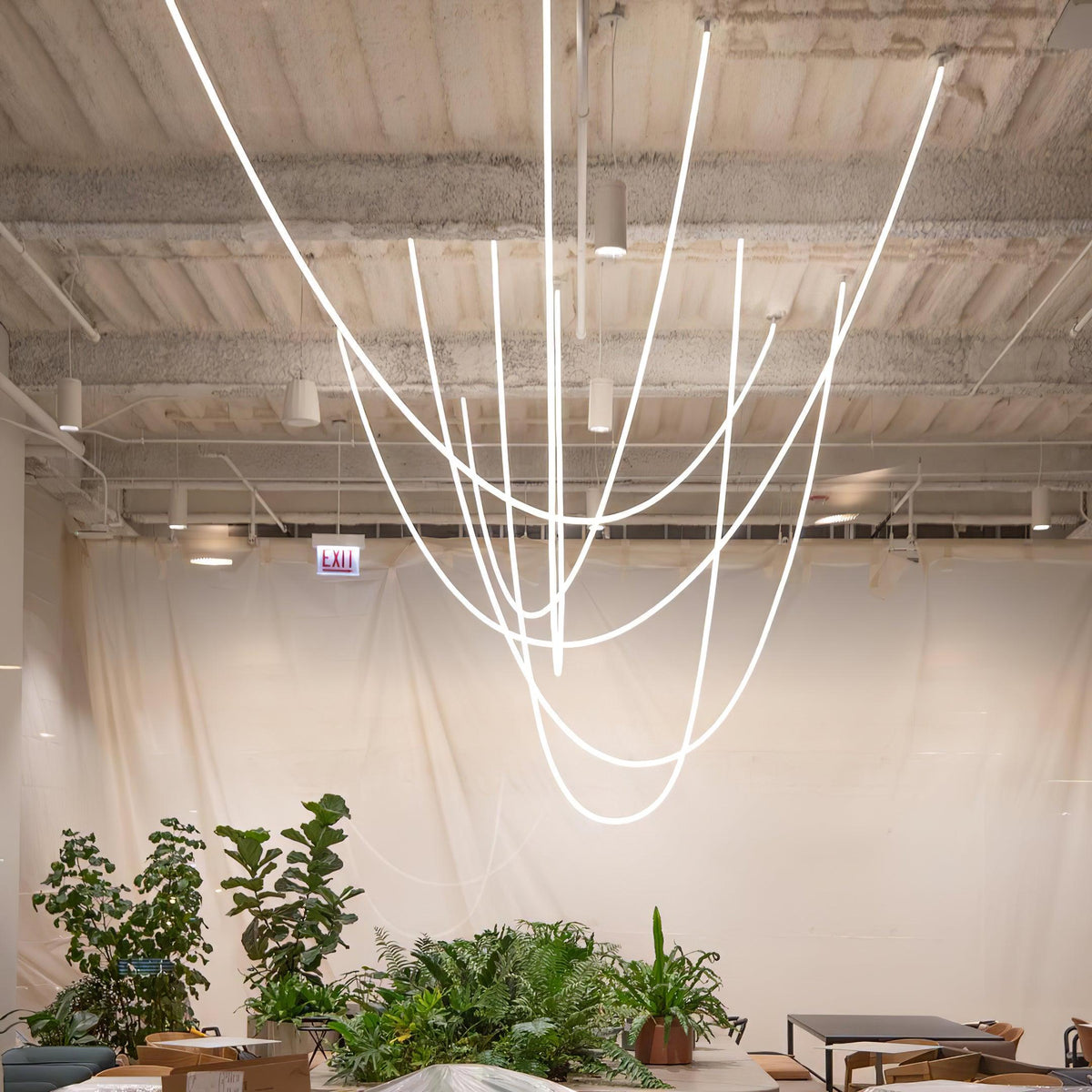 Softline Loop Pendant Light