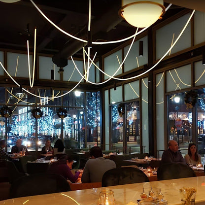Softline Loop Pendant Light